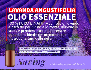 Olio essenziale di lavanda angustifolia italiana