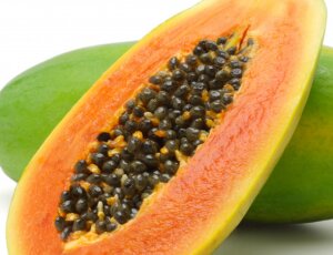 Papaya, Cocco